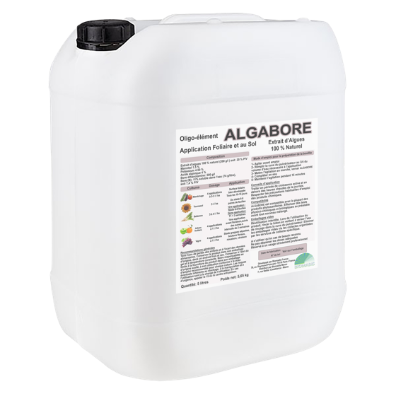 Bidon Algabore — Biomadis
